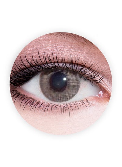 Lumirere Brown 9 Months Contact Lenses