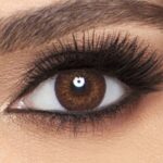 Addict Arena (Dark Olive) 6 Months Disposable Contact Lenses - Image 3