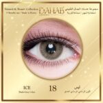 Ice (Dark Grey) 9 Months Contact Lenses - Image 2