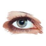 Pack Of 4 Rainbow Three Months Disposable Contact Lenses - Image 4
