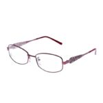 Women's Plastic Rectangular Eyeglasses Frames