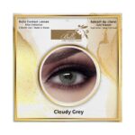 Elite Cloudy Grey 3 Months Disposable Contact Lenses - Image 2