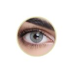 Half Yearly Disposable Contact Lenses