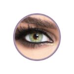 Yearly Disposable Contact Lenses