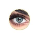 Half Yearly Disposable Contact Lenses