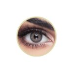 Half Yearly Disposable Contact Lenses