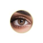 Half Yearly Disposable Contact Lenses