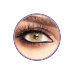 Yearly Disposable Contact Lenses