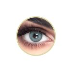 Half Yearly Disposable Contact Lenses